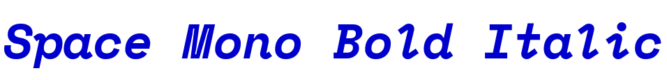Space Mono Bold Italic fonte
